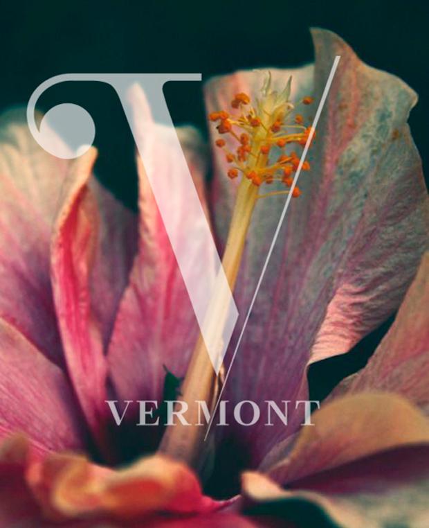 Graphic, Print & Digital